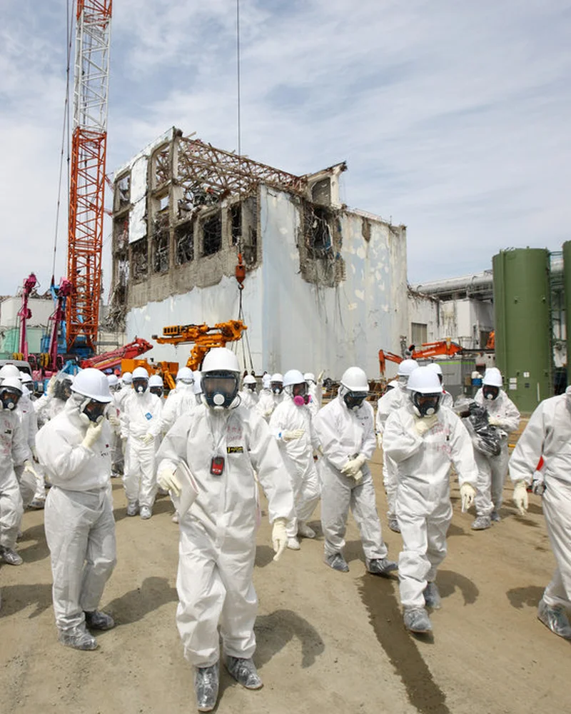 The Fukushima 50 bust